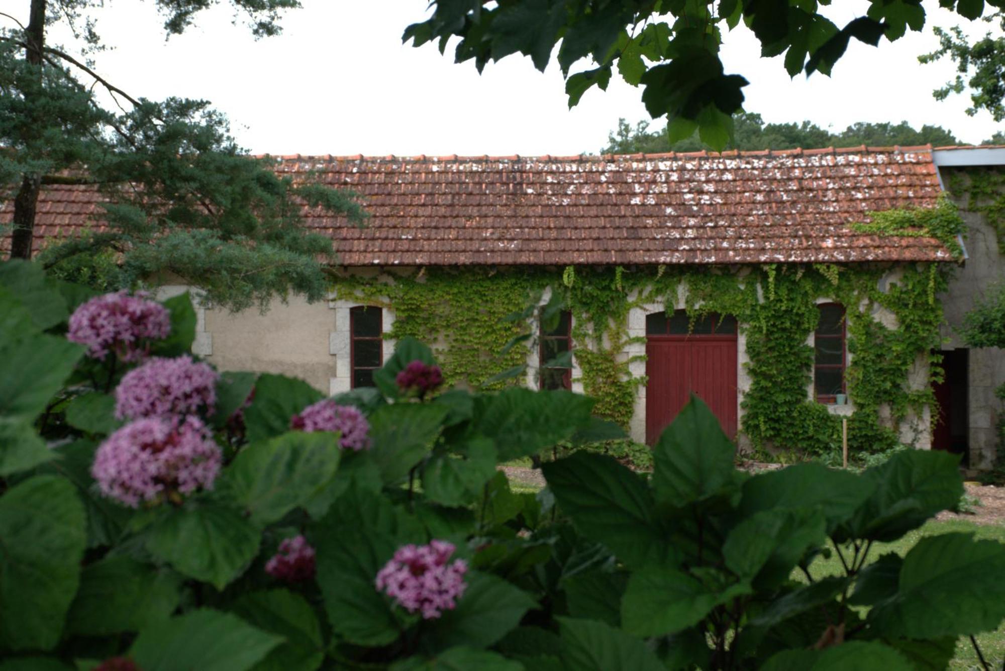 Bed and Breakfast Domaine Chez Maurice Becheresse Exteriér fotografie