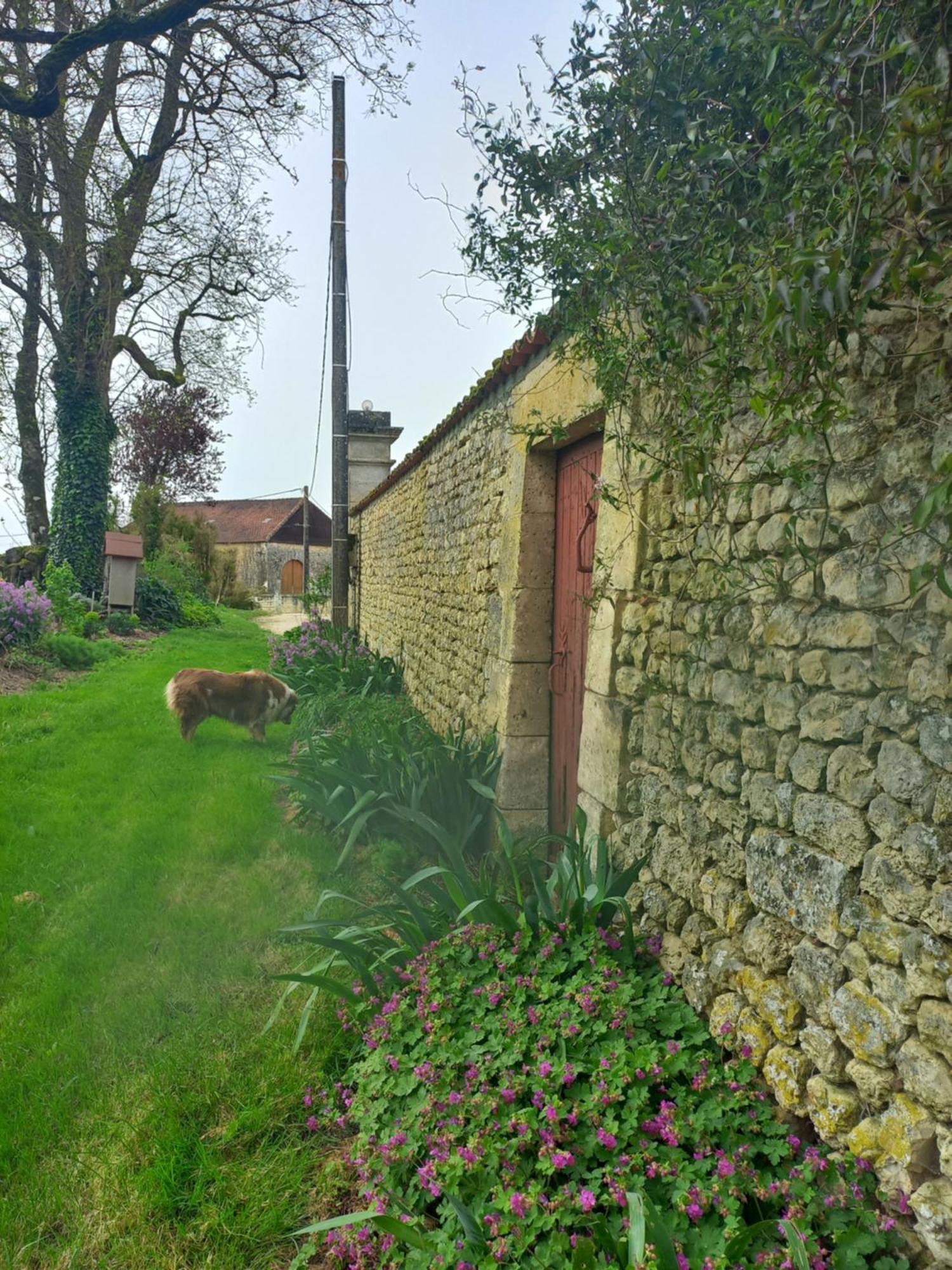 Bed and Breakfast Domaine Chez Maurice Becheresse Exteriér fotografie