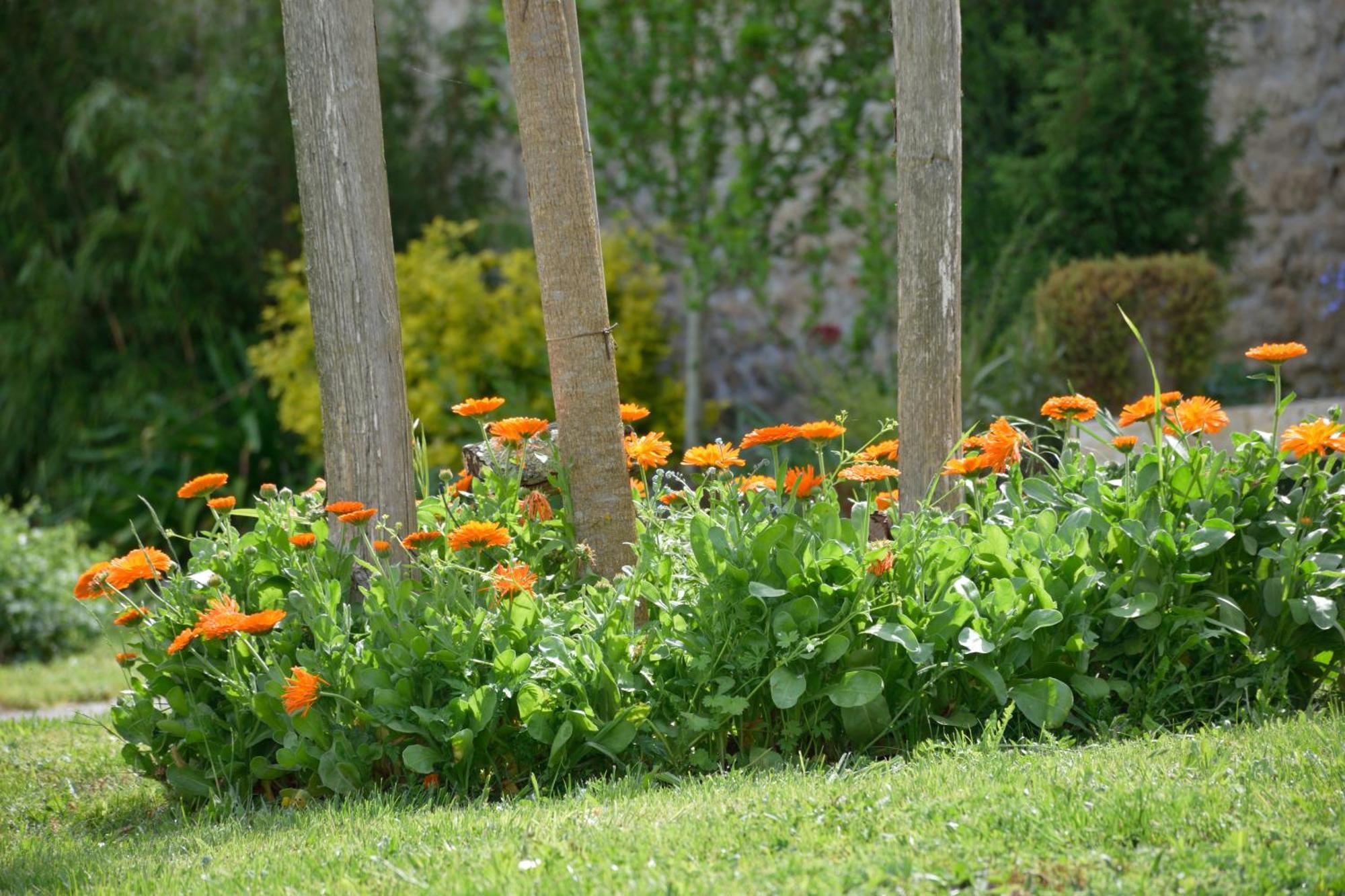 Bed and Breakfast Domaine Chez Maurice Becheresse Exteriér fotografie