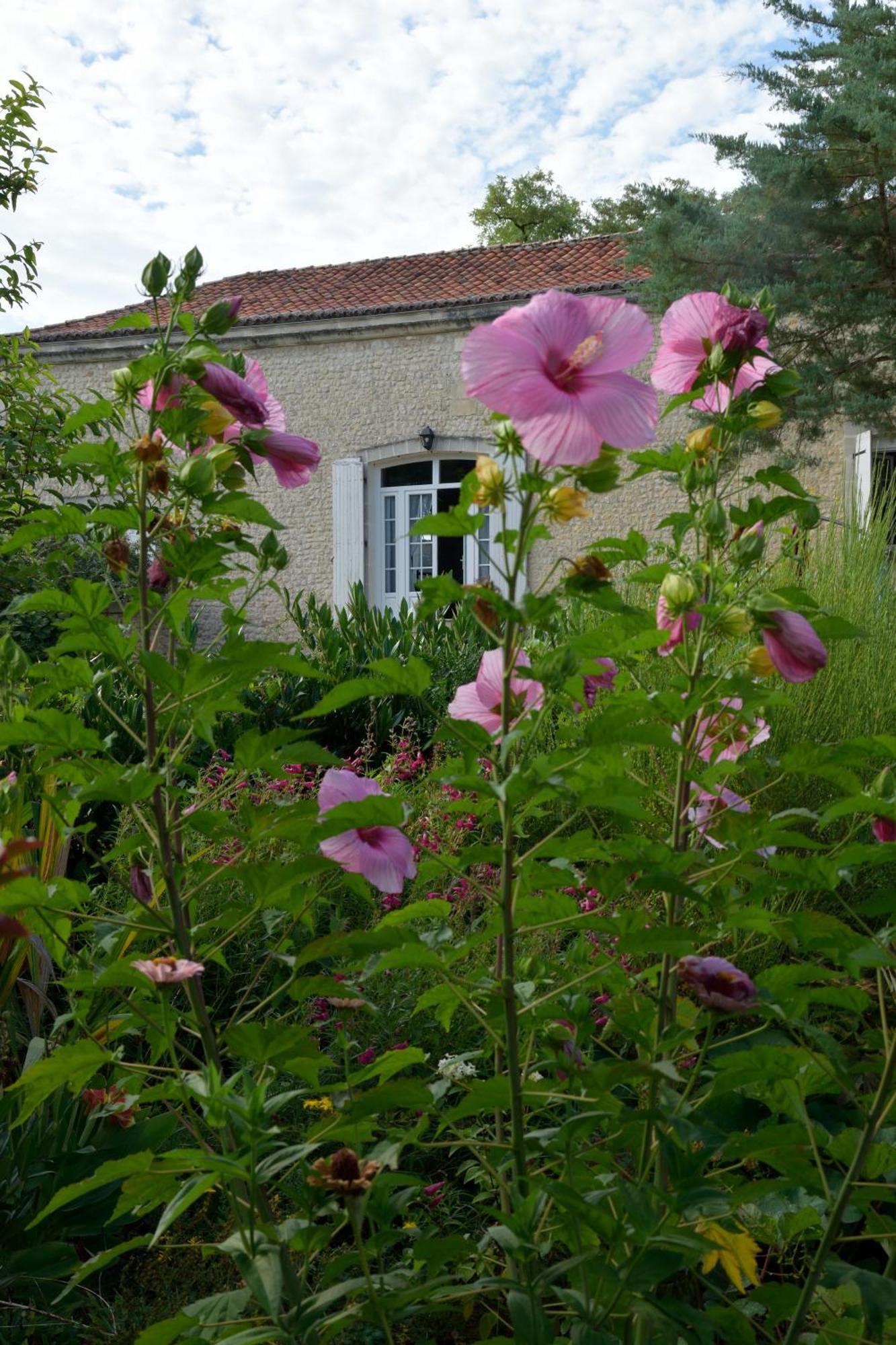 Bed and Breakfast Domaine Chez Maurice Becheresse Exteriér fotografie
