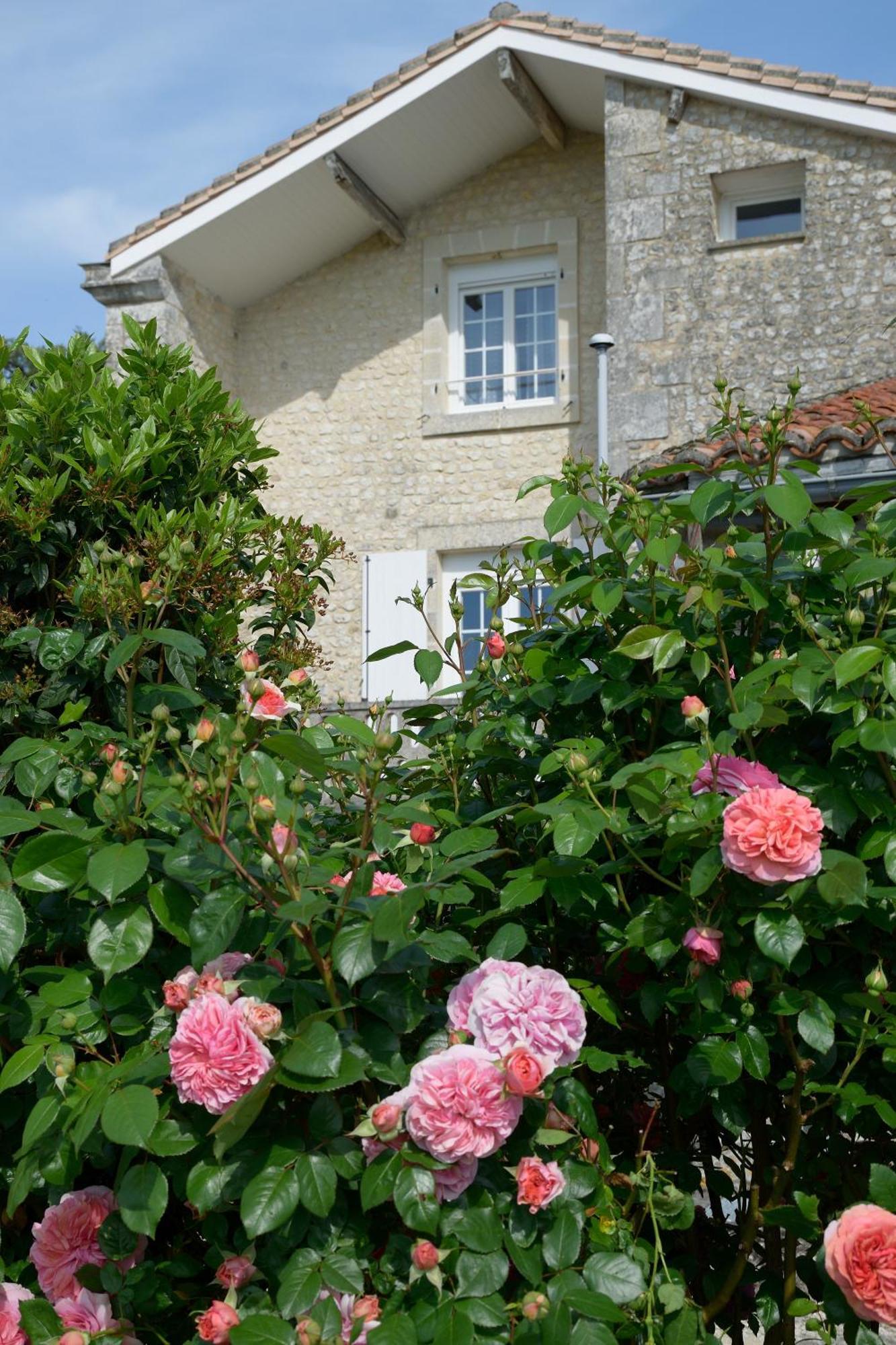 Bed and Breakfast Domaine Chez Maurice Becheresse Exteriér fotografie