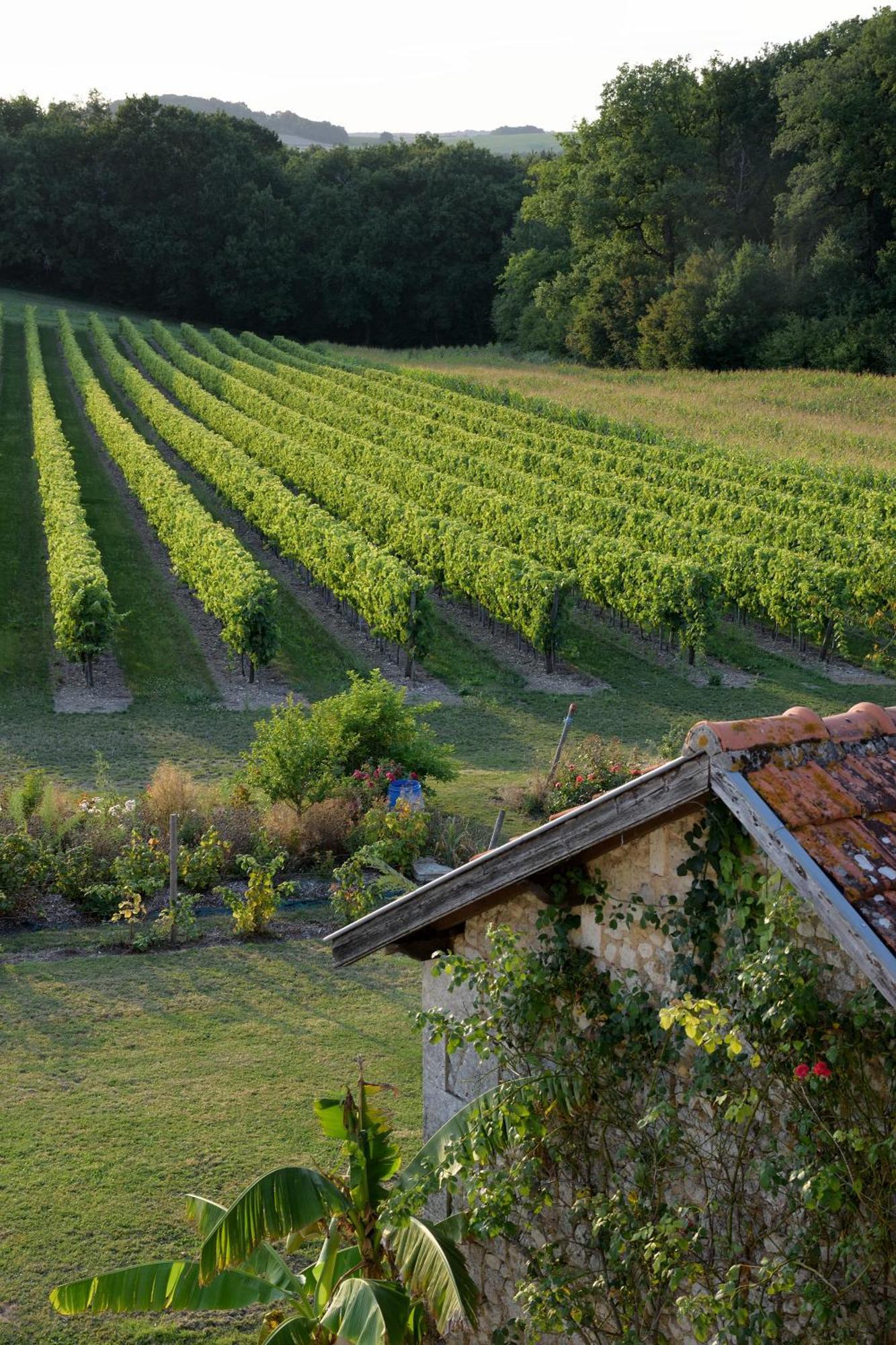 Bed and Breakfast Domaine Chez Maurice Becheresse Exteriér fotografie